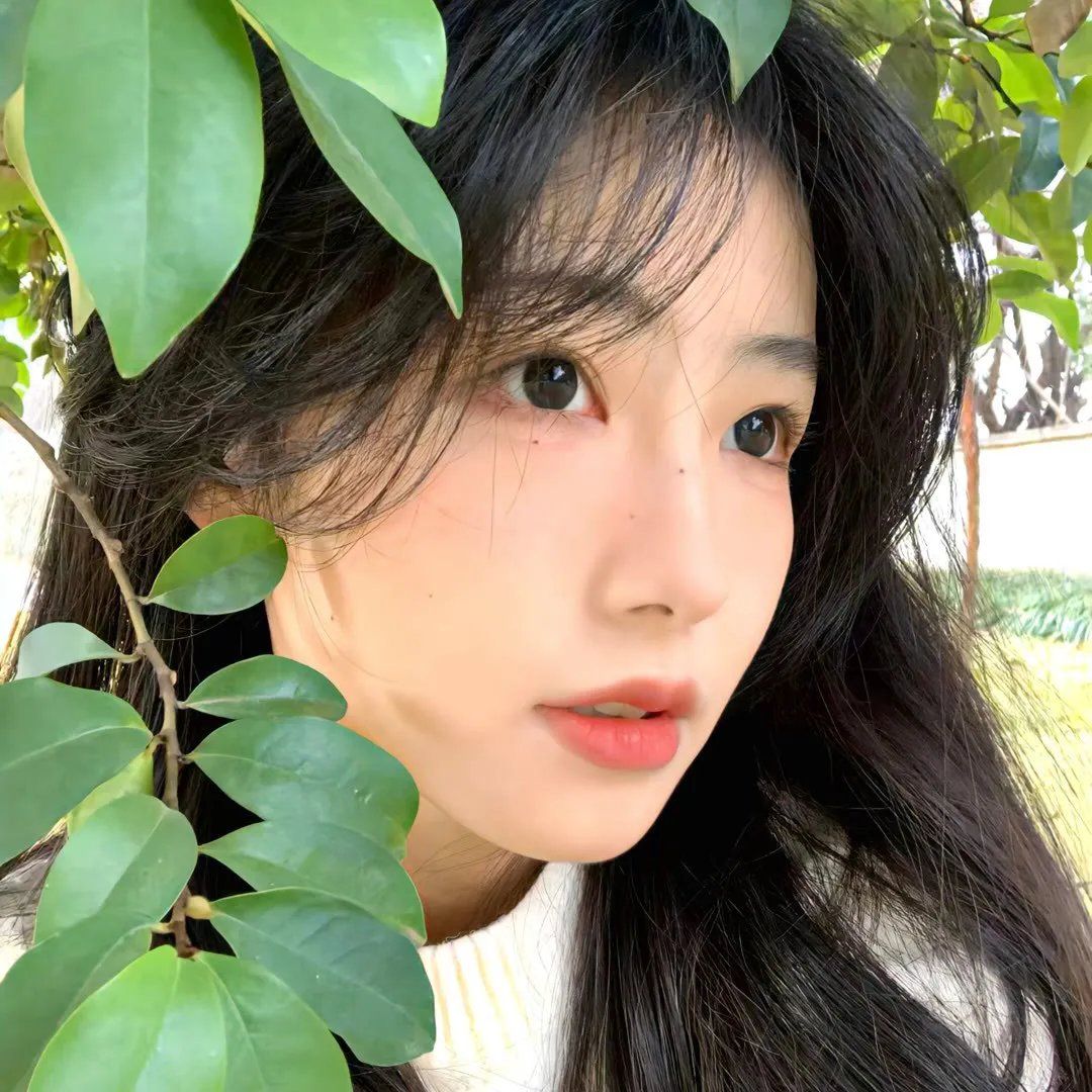 美人鱼第一季